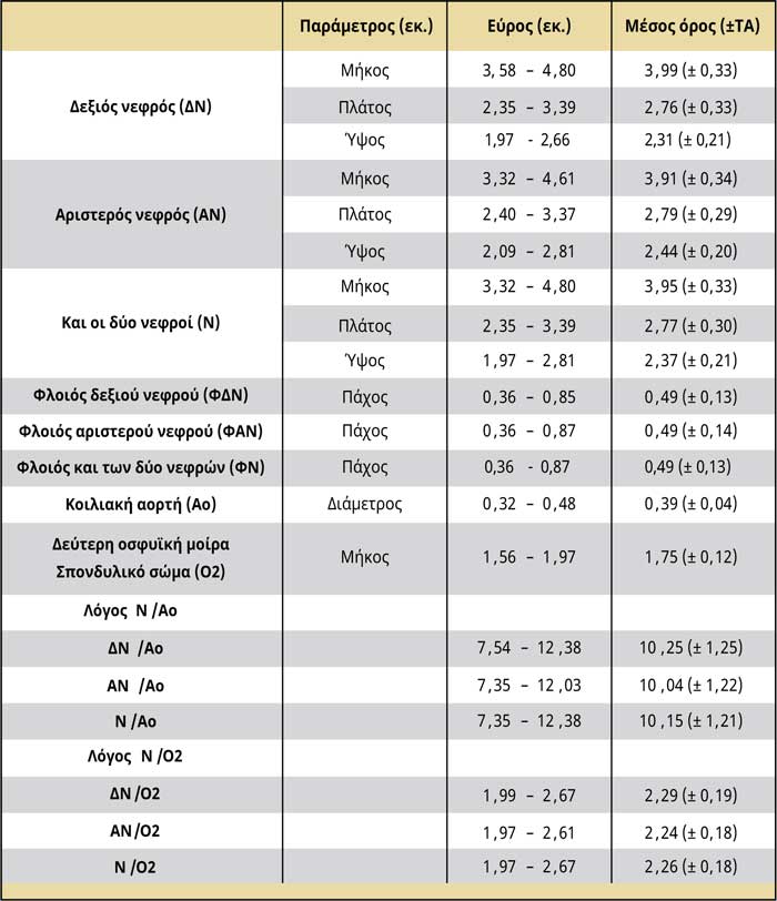 Dimensions of normal feline kidneys