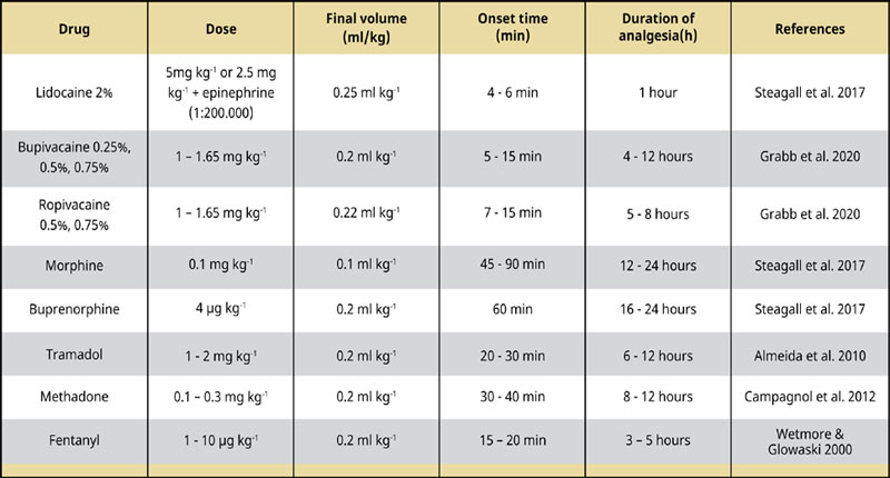 Epidural anaesthesia and analgesia