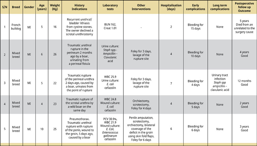 Perineal urethrostomy in male dogs: A report of 5 (five) cases (2000-2019)