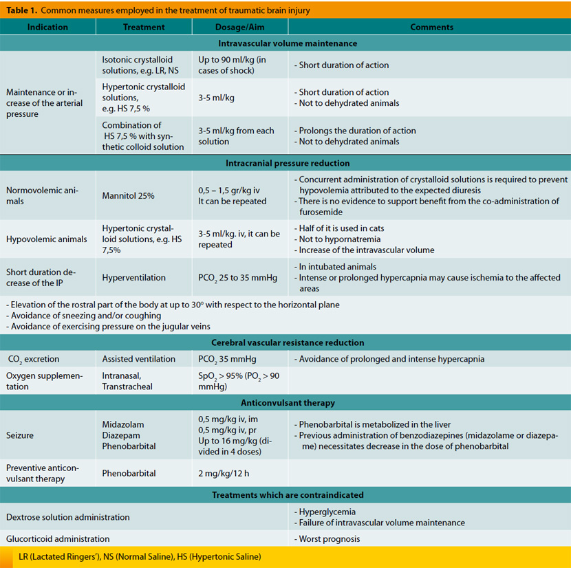 Traumatic brain injury in the dog and cat