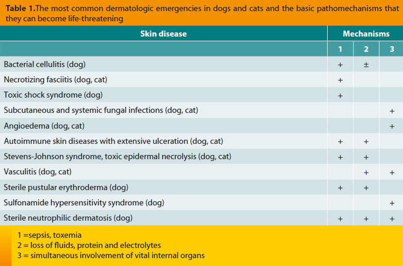 Dermatologic emergencies in the dog and the cat