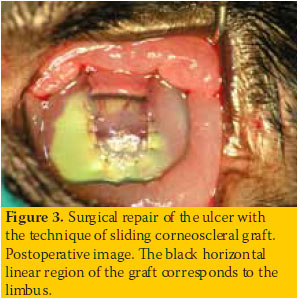 Corneal lesion in a dog