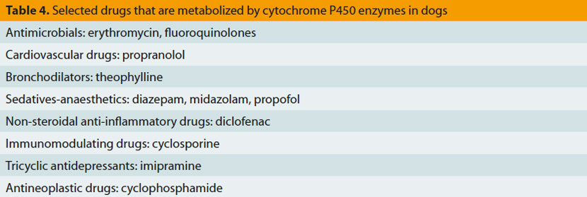 Drug Toxicities in Dogs and Cats