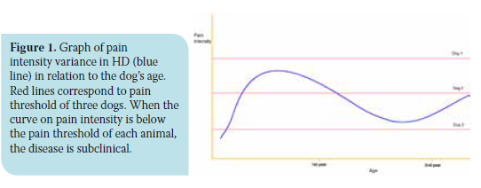 Canine hip dysplasia