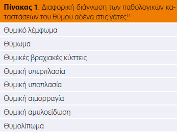 Διάγνωση και χειρουργική θεραπεία του θυμώματος στη γάτα