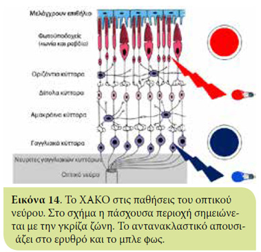 v5i1 xromatiko eik14