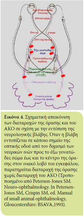 v5i1 xromatiko eik4