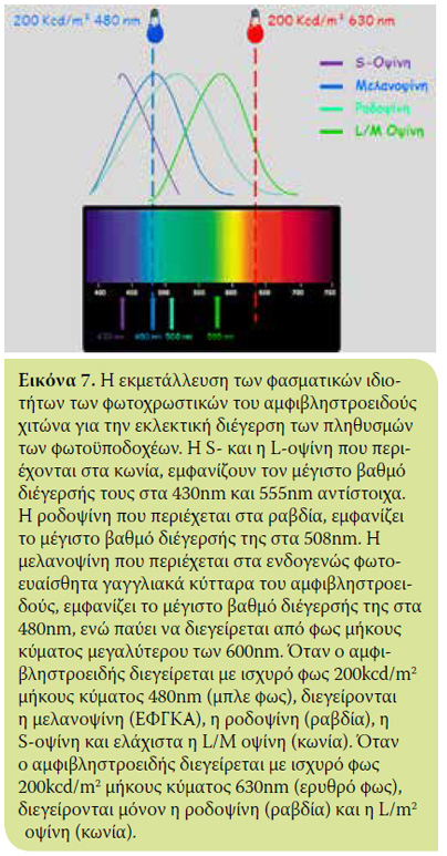 Το χρωματικό αντανακλαστικό της κόρης του οφθαλμού και η εφαρμογή του στην οφθαλμολογία των ζώων συντροφιάς 