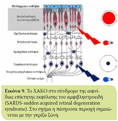 v5i1 xromatiko eik9