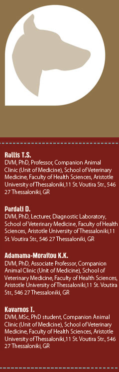 Effect of Enterococcus faecium SF68® (FortiFlora®) administration in dogs with antibiotic responsive or small intestinal bacterial overgrowth diarrhοea 