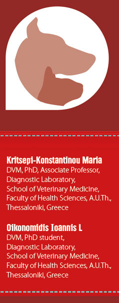 The interpretation of erythrogram in dog and cat 