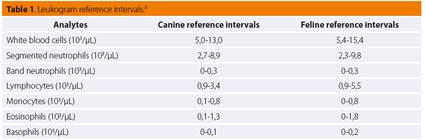 The interpretation of leukogram in dog and cat 