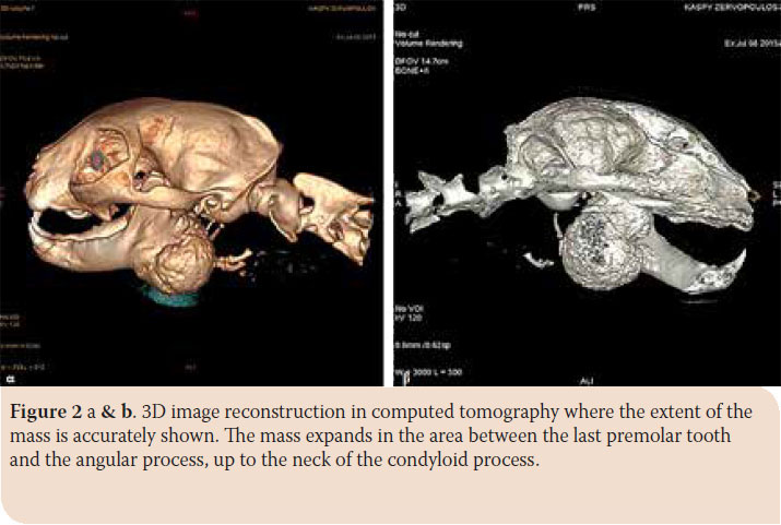 Osteoma of the mandible in a cat