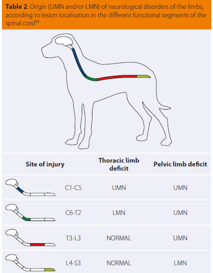 Diagnostic dilemma: neurological or orthopaedic case?