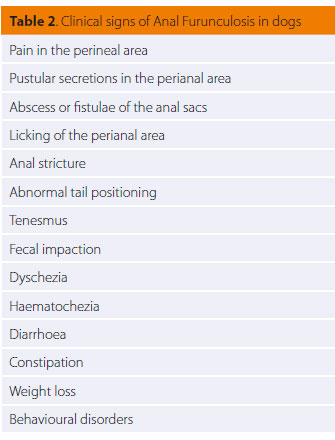 Canine anal furunculosis