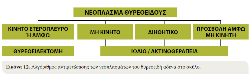 Τα νεοπλάσματα του θυρεοειδή αδένα στον σκύλο: διάγνωση και θεραπεία