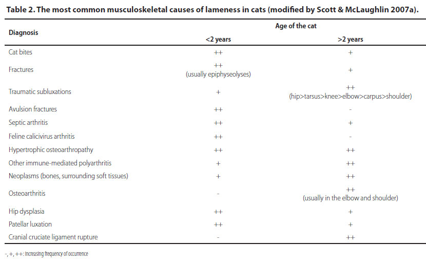 Differences between cats and dogs in orthopaedics