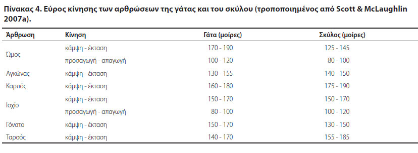 Οι γάτες δεν είναι μικρόσωμοι σκύλοι, ούτε στην ορθοπαιδική