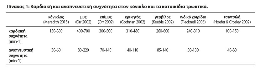 Περιεγχειρητική διαχείριση του κονίκλου και των κατοικίδιων τρωκτικών